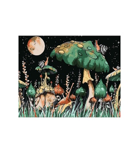 Ay Mantarları Çerçeveli 50x65 Sayılarla Boyama Hobi Seti