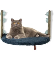 Cam Yatağı Vantuzlu Kedi Cam Yatağı Pugalo Vantuzlu Yatak (Antrasit)