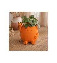 Alvera Smiley Face Planter – 3D Baskı Gülümseyen Karakterli Saksı-Turuncu