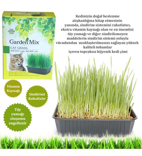Gardenmix Kedi Çimi