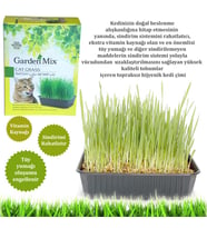 Gardenmix Kedi Çimi