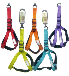 Nunbell Köpek Gögüs Tasması 2 cm