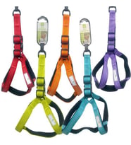 Nunbell Köpek Gögüs Tasması 2 cm