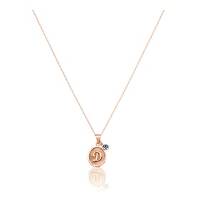 Desenli Oval Gümüş Harf Kolye - Rose