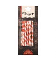 19047399 M-PETS TRUSTY BEEF TWISTED STICKS 10LU 55GR/12,7CM