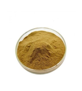 St. John's Wort (Sarı Kantaron) Extract 250 gr (Hammadde)