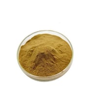 St. John's Wort (Sarı Kantaron) Extract 250 gr (Hammadde)