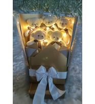 Sole Sevgiliye Özel Peri LED Işıklı Dore-Gümüş Konsept Romantik Peluş Ayıcık Buketi (Kırmızı)