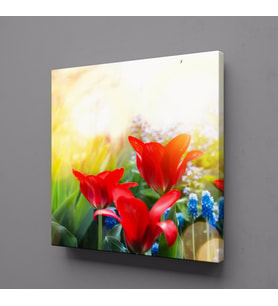 KIRMIZI ÇİÇEKLER KANVAS TABLO 80x80cm (Karışık)