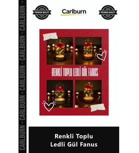 Özel Üretim Dekoratif Işıklı Cam Teraryum Tasarım Masa Lambası Estetik Gün Işığı Renkli Toplu Ledli