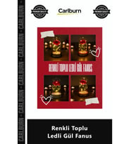 Özel Üretim Dekoratif Işıklı Cam Teraryum Tasarım Masa Lambası Estetik Gün Işığı Renkli Toplu Ledli