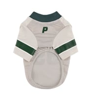 Varsity Köpek Kıyafeti