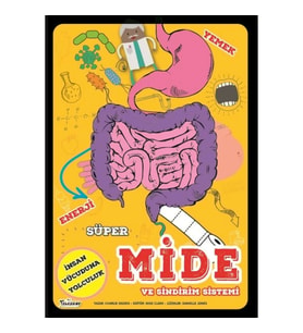 Süper Mide Ve Sindirim Sistemi