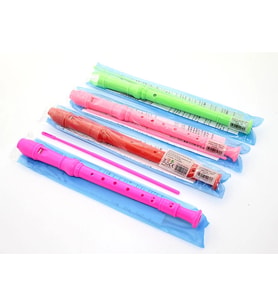 Renkli Plastik Flüt