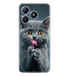 C53 Kılıf Boutique Baskılı Resimli Komik Kedi Pcode -008
