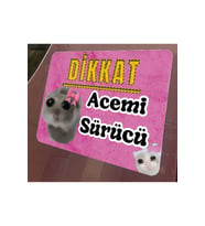 Acemi Sürücü Araba Magneti - Eğlenceli ve Güvenli Sürüş İçin Pratik Çözüm! (Standart)