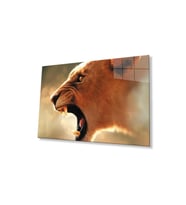 Aslan Cam Tablo 4mm Dayanıklı Temperli Cam (Çok Renkli)