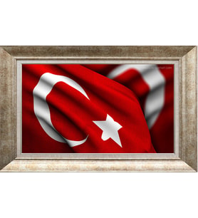 GÜMÜŞ ÇERÇEVELİ TABLO N1230
