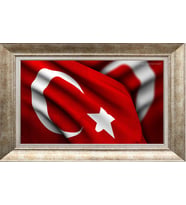 GÜMÜŞ ÇERÇEVELİ TABLO N1230
