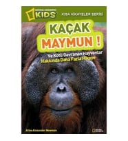 Kaçak Maymun
