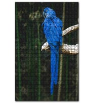 Cakapuzzle Daldaki Mavi Papağan Puzzle Yapboz MDF (Ahşap) (120 Parça)