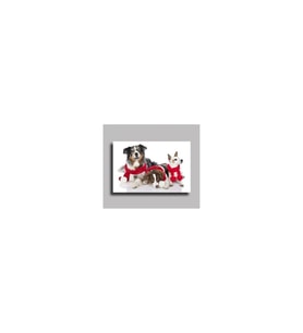 DBSanatevi Köpekler Tablo 40 X 30 Cm
