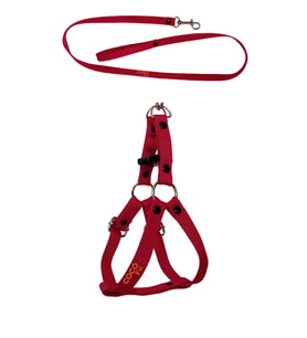 Köpek Göğüs Tasması Gezdirme Ipi Small Kırmızı Küçük Irklar Için 25-40 Cm