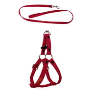 Köpek Göğüs Tasması Gezdirme Ipi Small Kırmızı Küçük Irklar Için 25-40 Cm