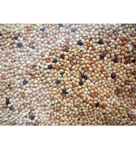 3Kg Kuş Yemi Özel Karışık Her Türlü Kuş İçin Özel Geliştirildi Muhabbet Kanarya Hint Bülbülü Yemi