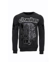 Gri Taşlı Baskılı Kapşonşlu Sweatshirt - Wessi (Füme)