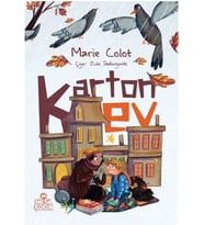Karton Ev