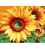 Ayçiçeği Masalı 1 Çerçevesiz 60x75 Sayılarla Boyama Hobi Seti