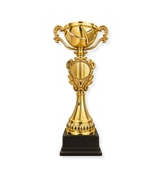 Ödül Kupaları 37 cm YAZI-LOGO DAHİL