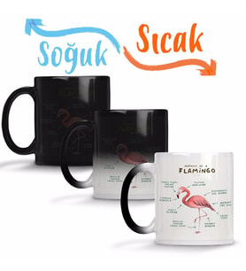Bir Flamingo Anatomisi Sihirli Kupa Bardak Porselen