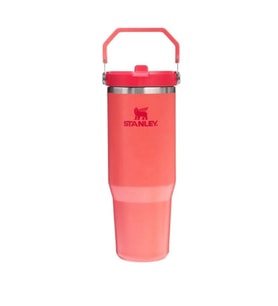 STANLEY 10-12043-076 PİPETLİ THE ICEFLOW FLİP STRAW 0.89 L. PASLANMAZ ÇELİK TERMOS MERCAN