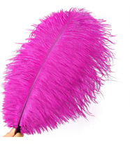 3 ADET BÜYÜK BOY 35 CM KOYU PEMBE DEVE KUŞU TÜYÜ VIP DARK PINK OSTRICH FEATHER DEKOR PEMBE KUŞ TÜYÜ