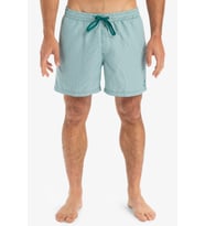 Quiksilver Everyday Deluxe Erkek Deniz Şortu (Yeşil)