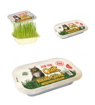 Quik Fileli Doğal Kedi Çimi X 3 Adet