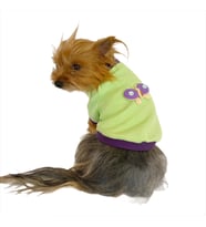 Sweet Butterfly Oval Yaka Tişört Köpek Kıyafeti Köpek Elbisesi