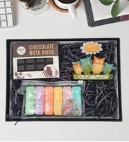 Tasarım Defter & Baykuş Model Biblo & Renkli Fosforlu Mini Kalemler