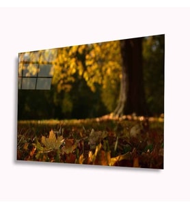 Sonbahar Cam Tablo 4mm Dayanıklı Temperli Cam