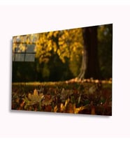 Sonbahar Cam Tablo 4mm Dayanıklı Temperli Cam