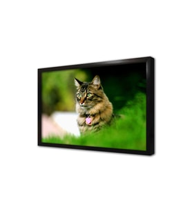 Kedi Çerçeveli Mdf Tablo