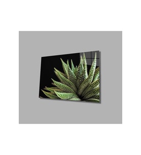 Siyah Arka Fon Aleovera Çiçek 4mm Dayanıklı Cam Tablo Temperli Cam, Black Background Aloe Vera Flowe (Çok Renkli)