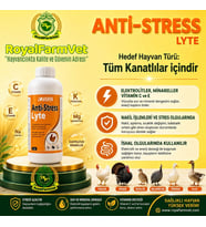 Tüm Kanatlılar, Güvercin ve Kafes Kuşları İçin Avian Anti-Stress Lyte 1 Lt. Electrolit Desteği