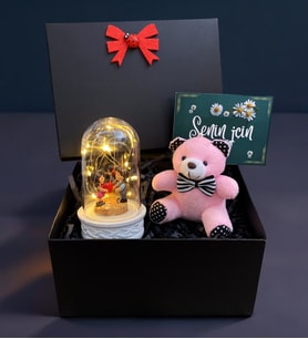 Siyah Hediye Kutusunda Pembe Peluş Ayıcık ve Led Işıklı Fanus Hediye Seti (Model 7)
