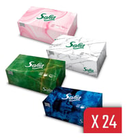 Sofia Kutu Mendil 100 Yaprak 24 Paket