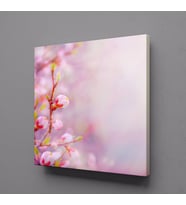 PEMBE ÇİÇEK KANVAS TABLO 30x30cm (Karışık)