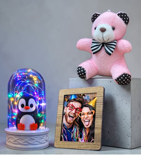 Fotoğraflı Hediye Seti Renkli Led Işıklı Penguen Fanus ve Peluş Anahtarlık (Model 2)