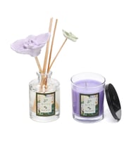 Black Orchid Oda Kokusu ve Vegan Mum Hediye Seti